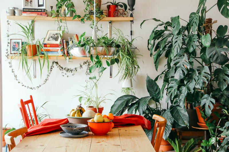 Effective Ways to Convince Family and Friends to Adopt Green Habits