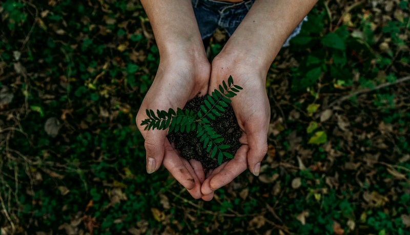 10 Eco-Friendly Habits for a Sustainable Everyday Life