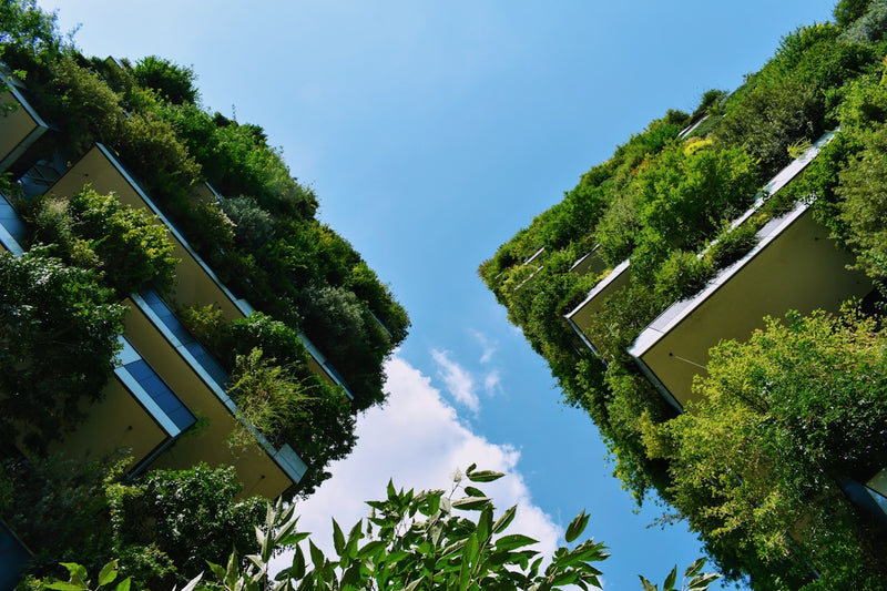 How to Transform Your Home into an Eco-Friendly Haven