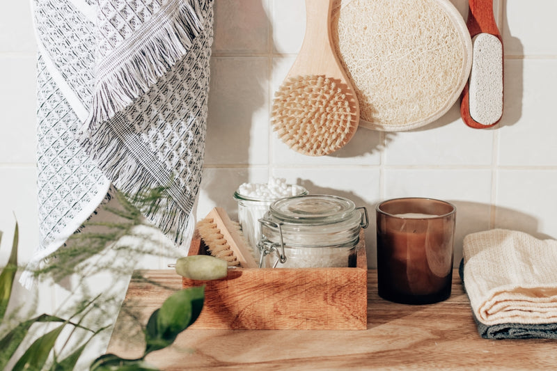 The Historical Roots of Sustainability: Lessons from the Past