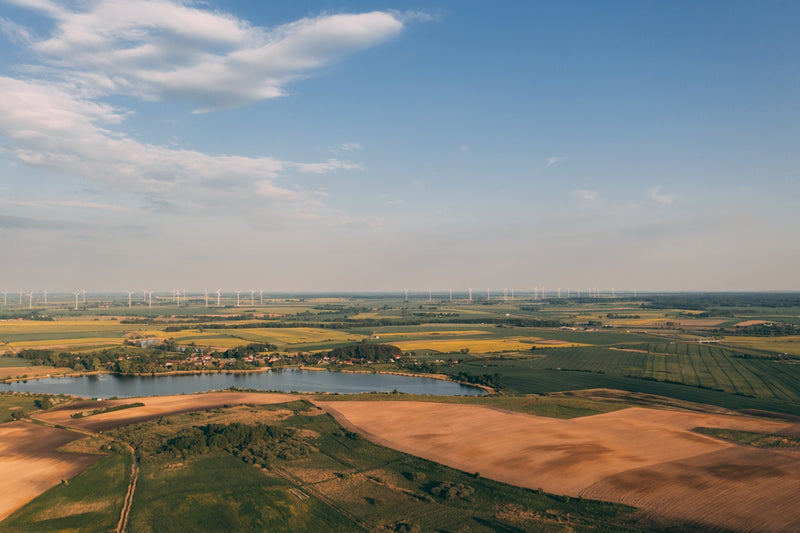 Frequently Asked Questions on Living Sustainably Answered