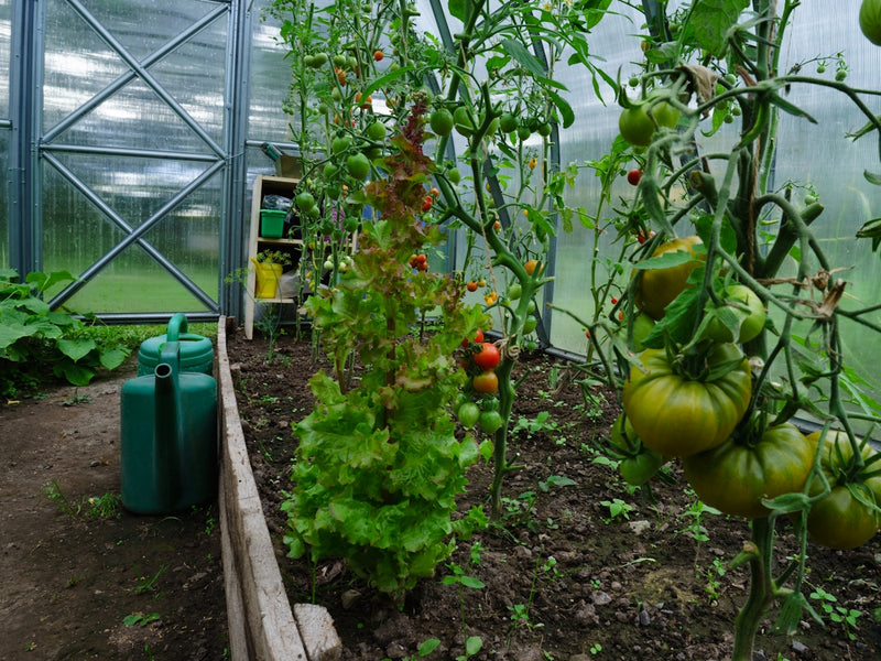 Solving Everyday Sustainability Problems One Step at a Time