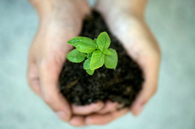How to Reduce Your Water Footprint with Simple Changes