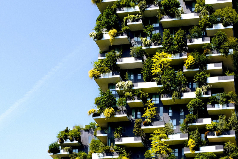 An Explainer on the Carbon Footprint: What You Need to Know
