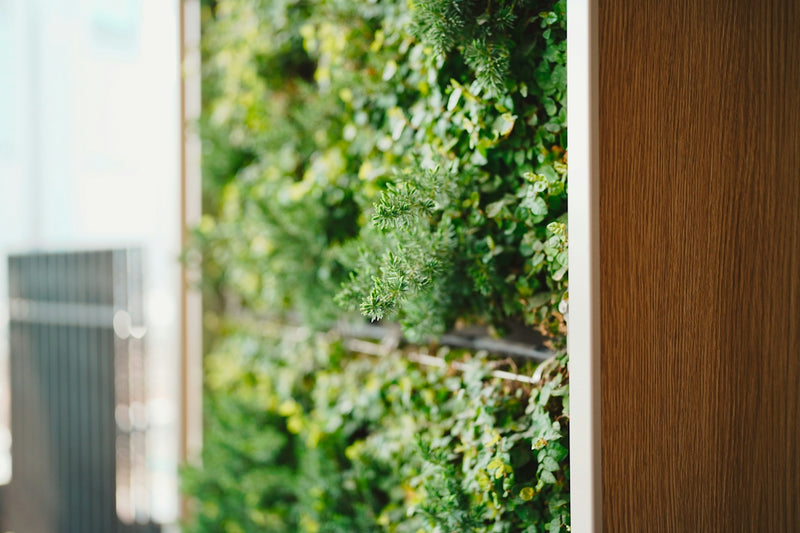 Kitchen Hacks for a Zero-Plastic Lifestyle You'll Love