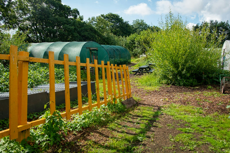 What We Can Learn from Historical Approaches to Self-Sustaining Communities