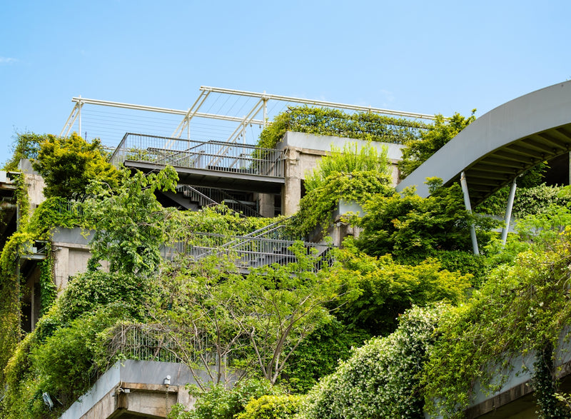 Ten Common Eco-Friendly Living Myths Debunked and Explained