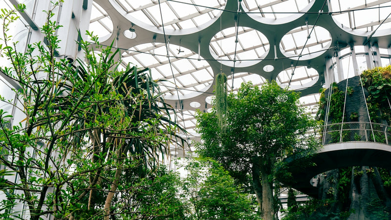 Creating a Sustainable Wardrobe: Your Guide to Eco-Conscious Fashion Choices