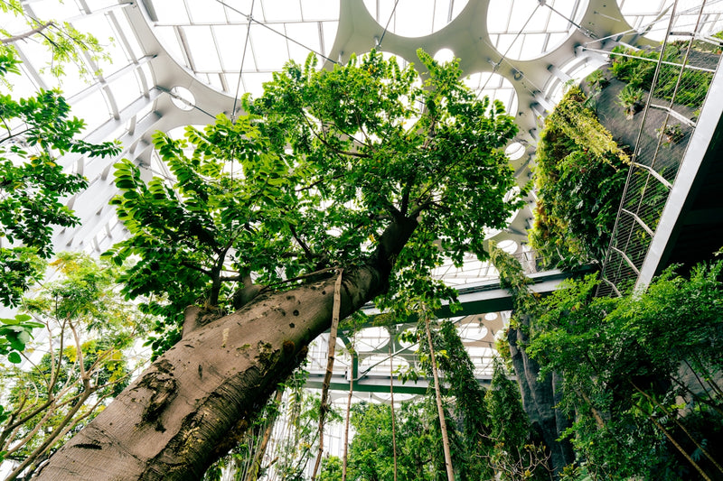 Cleaning Green: Your Essential Checklist for an Eco-Friendly Home