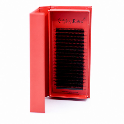 10D Clover Lash 16 Row Mixed Tray
