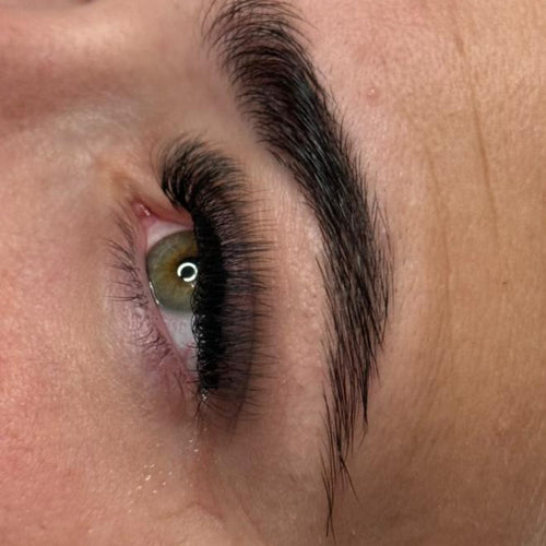 Sample Tray 10D Clover Lash