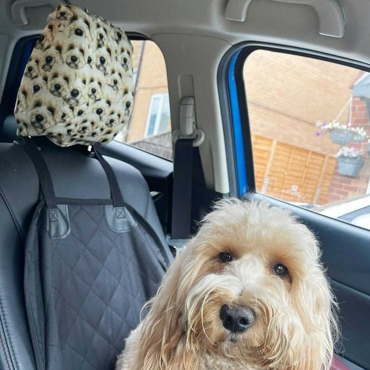 England Lion - Pack of 2 Car Seat Headrest Covers