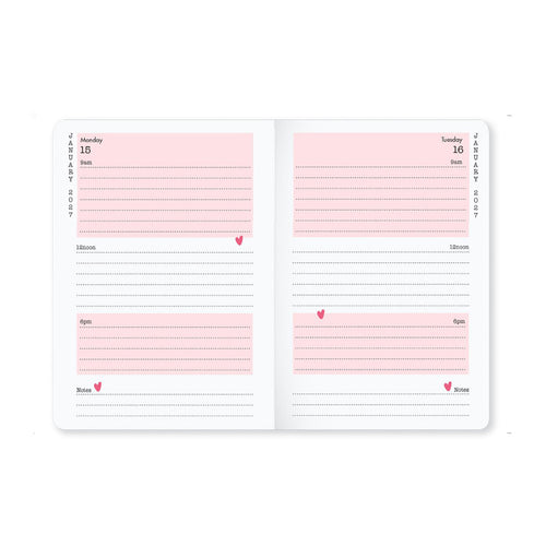 Matilda Moo | 2027 Diary - A6 Daily Planner | Day-to-Page in Pink