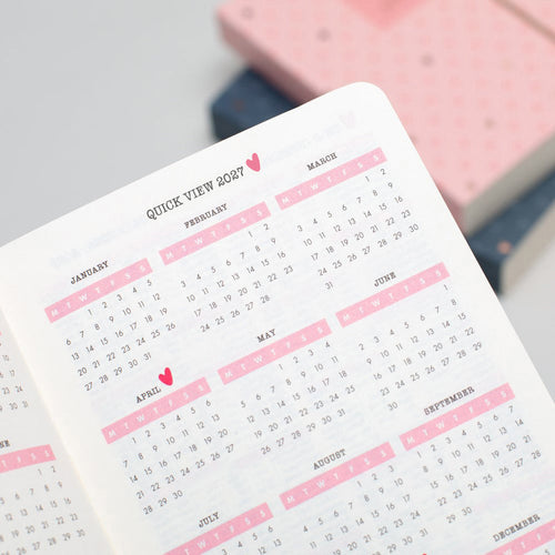 Matilda Moo | 2027 Diary - A6 Daily Planner | Day-to-Page in Pink
