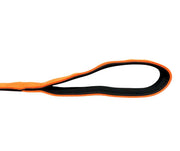 BTactical™ Extra-Strong Nylon Carabiner Clip Dog Lead | Citrus Orange