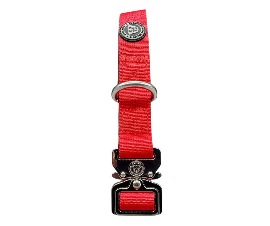 2.5cm Nylon BTactical™ Collar | Citrus Red