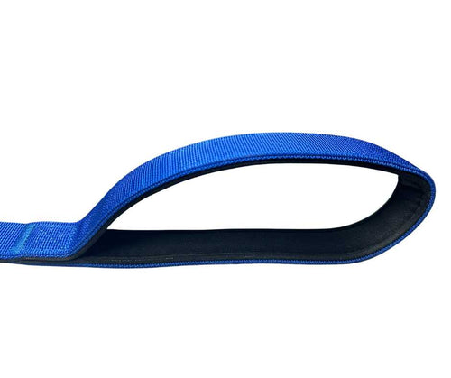 BTactical™ Nylon Carabiner Clip Dog Lead | Extra-Strong Anti Tangle - Royal Blue
