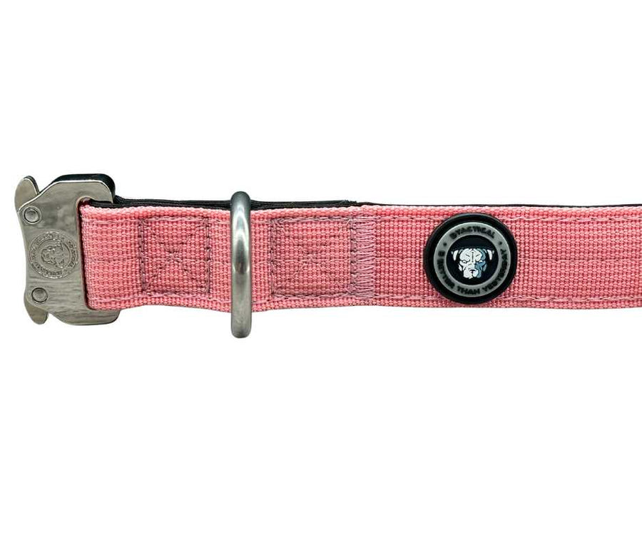 2.5cm Nylon BTactical™ Collar | Pretty Pink