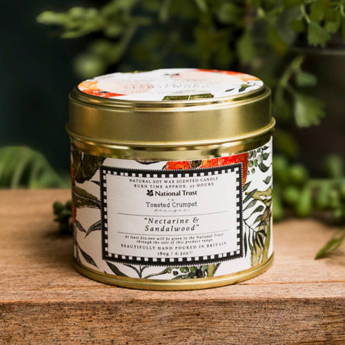 Nectarine & Sandalwood Candle in a Matt Gold Tin