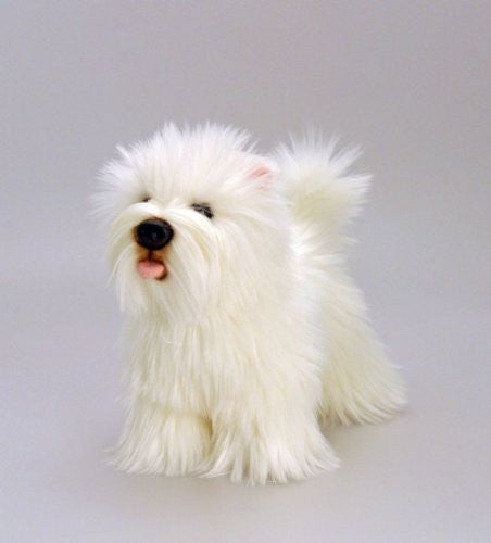 Best in Show - 20cm Dogs with Rosette  one