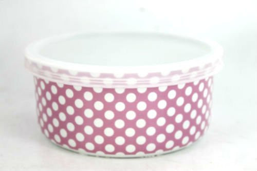 LESSER & PAVEY CERAMIC TRAVEL SNACK BOX (PINK)