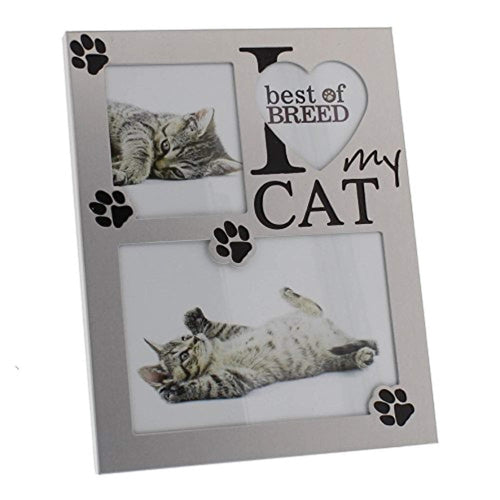 I love my Cat Brushed Aluminium Photo Frame Juliana Best of Breed Collection
