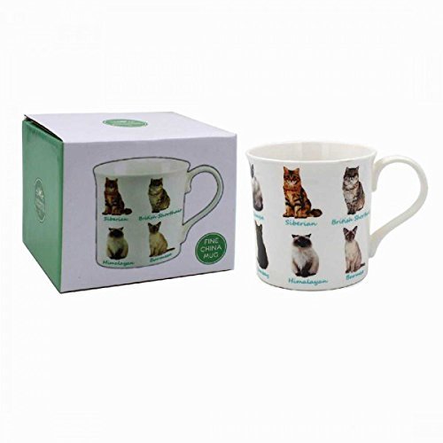 Leonardo Cats Mug, Fine China, Multicolour, 12 x 9 x 8 cm