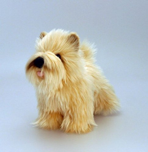 Best in Show - 20cm Dogs with Rosette  one