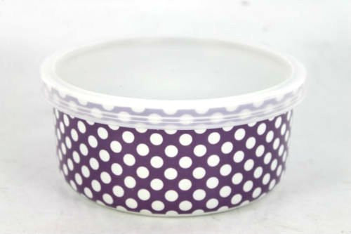 LESSER & PAVEY CERAMIC TRAVEL SNACK BOX (PURPLE)