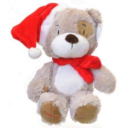 Toggles and Friends Christmas Teddy