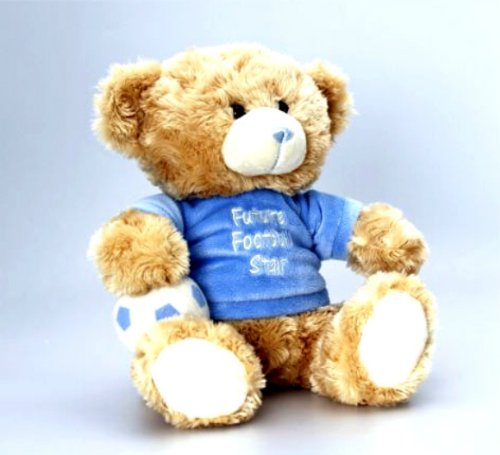 Gorgeous Plush Cuddly 25cm Teddy Bear Wearing Future Football Star Shirt And Carrying His Football