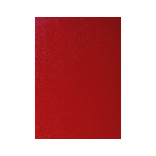 2026-2027 - Mid Year Planner - 13 Month A4 Day-to-Page Diary with Appointments - Collins Debden Desk Diary