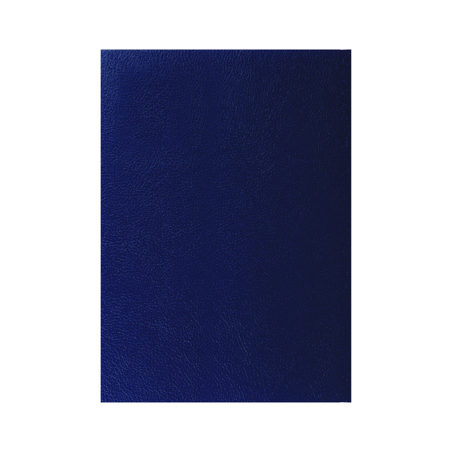 2026-2027 - Mid Year Planner - 13 Month A4 Day-to-Page Diary with Appointments - Collins Debden Desk Diary