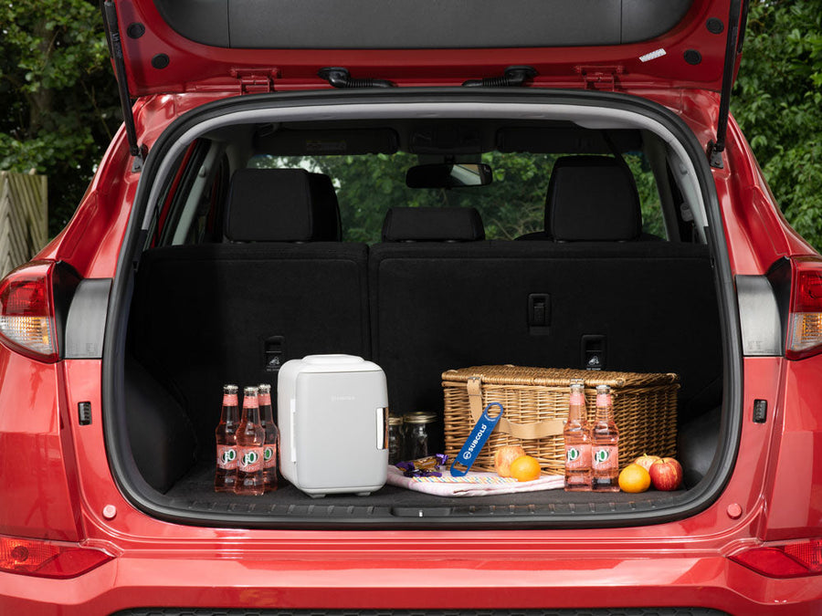 Subcold Classic 4L Mini Fridge