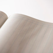 Cathedral -  Accounts Book Analysis 12 Cash Columns - Red (150/12.1)