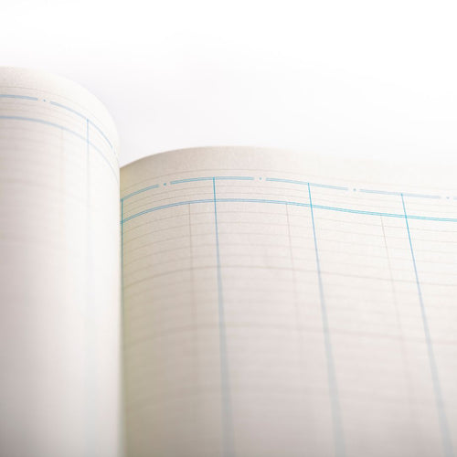 Cathedral -  Accounts Book Analysis 14 Cash Columns - Red (150/14.1)