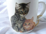 "Tabby & Ginger" Cats Mug - New & Boxed