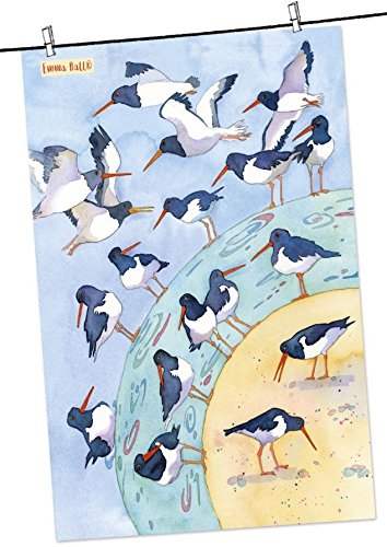 Oystercatcher Birds Tea Towel - Emma Ball