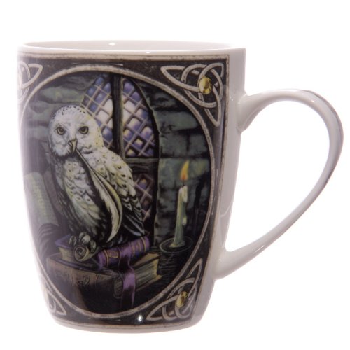 Set of 2 MULP08 - Lisa Parker Owl Design Bone China Mug