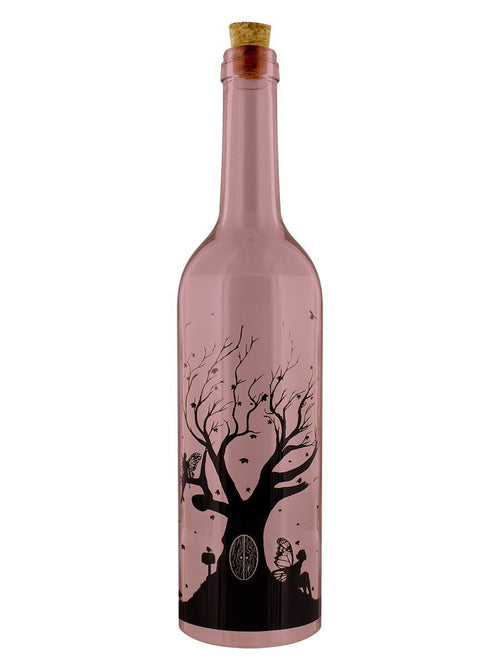 Fairy Dream Decorative Bottle with LED Lights 
