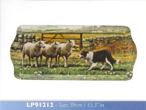 Macneil Collie & Sheep 39cm Melamine Sandwich Tray Leonardo LP91212