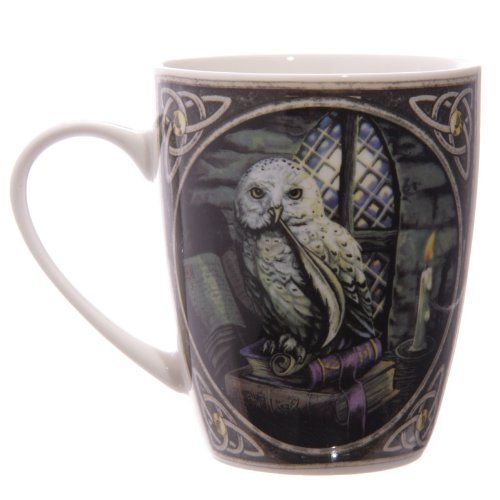 Set of 2 MULP08 - Lisa Parker Owl Design Bone China Mug
