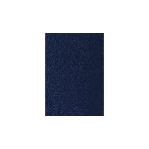 2026-2027 - Mid Year Planner - 13 Month A5 Day-to-Page Diary with Appointments - Collins Debden Desk Diary