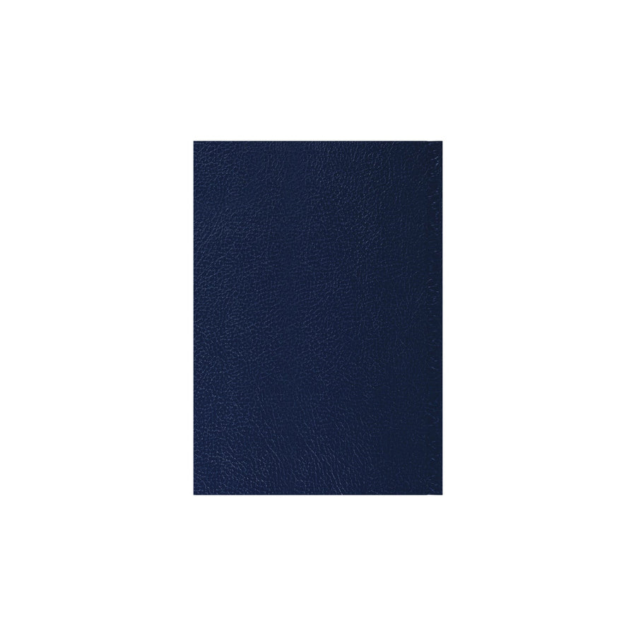2026-2027 - Mid Year Planner - 13 Month A5 Day-to-Page Diary with Appointments - Collins Debden Desk Diary