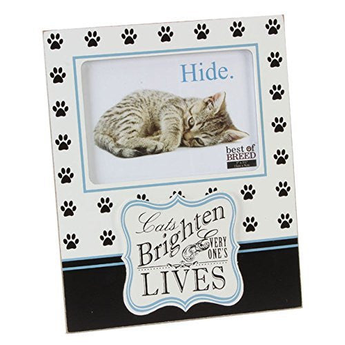 Best of Breeds Cat 4" x 6" Photo Frame - Cats brighten everyone's lives
