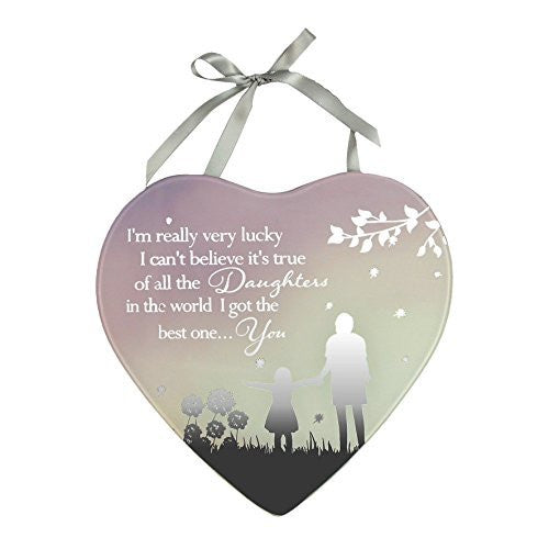 Daughter Im Really very lucky I can't believe its true of all the daughters in the world I got the best.. you Reflections from the Heart Mirrored Hanging Plaque
