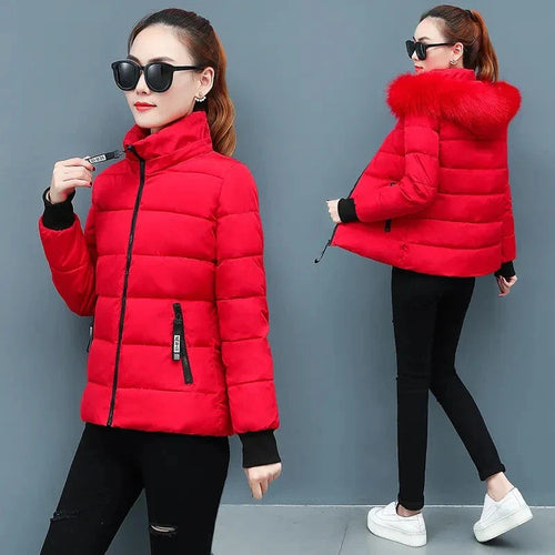 Women's Winter Padded Temperament Casual Down Cotton Jacket