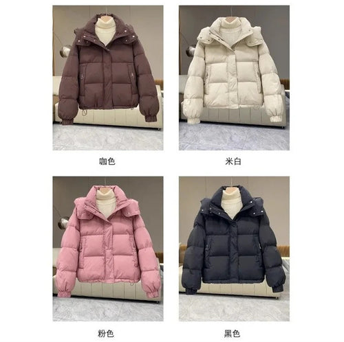 Winter Jacket Women Parkas 2024 New Short Hooded Cotton Padded Jacket Casual