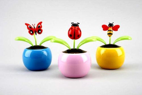 Solar Powered Insect Rocker Flip Flaps - Assorted Single