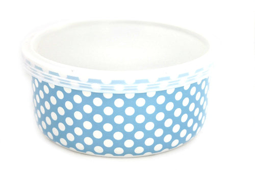 LESSER & PAVEY CERAMIC TRAVEL SNACK BOX (BLUE)